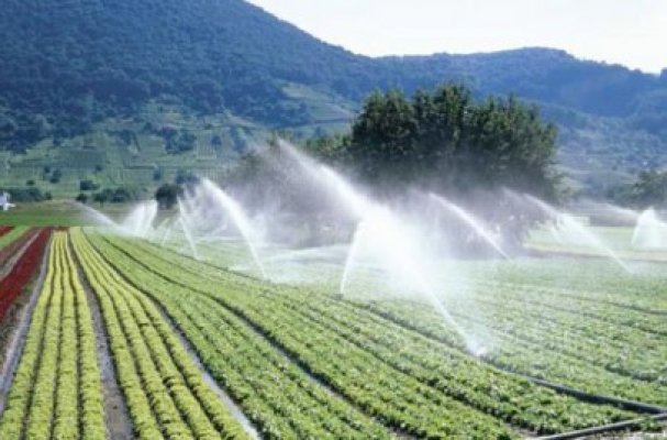 Preţul apei pentru irigaţii scade cu până la 30%
